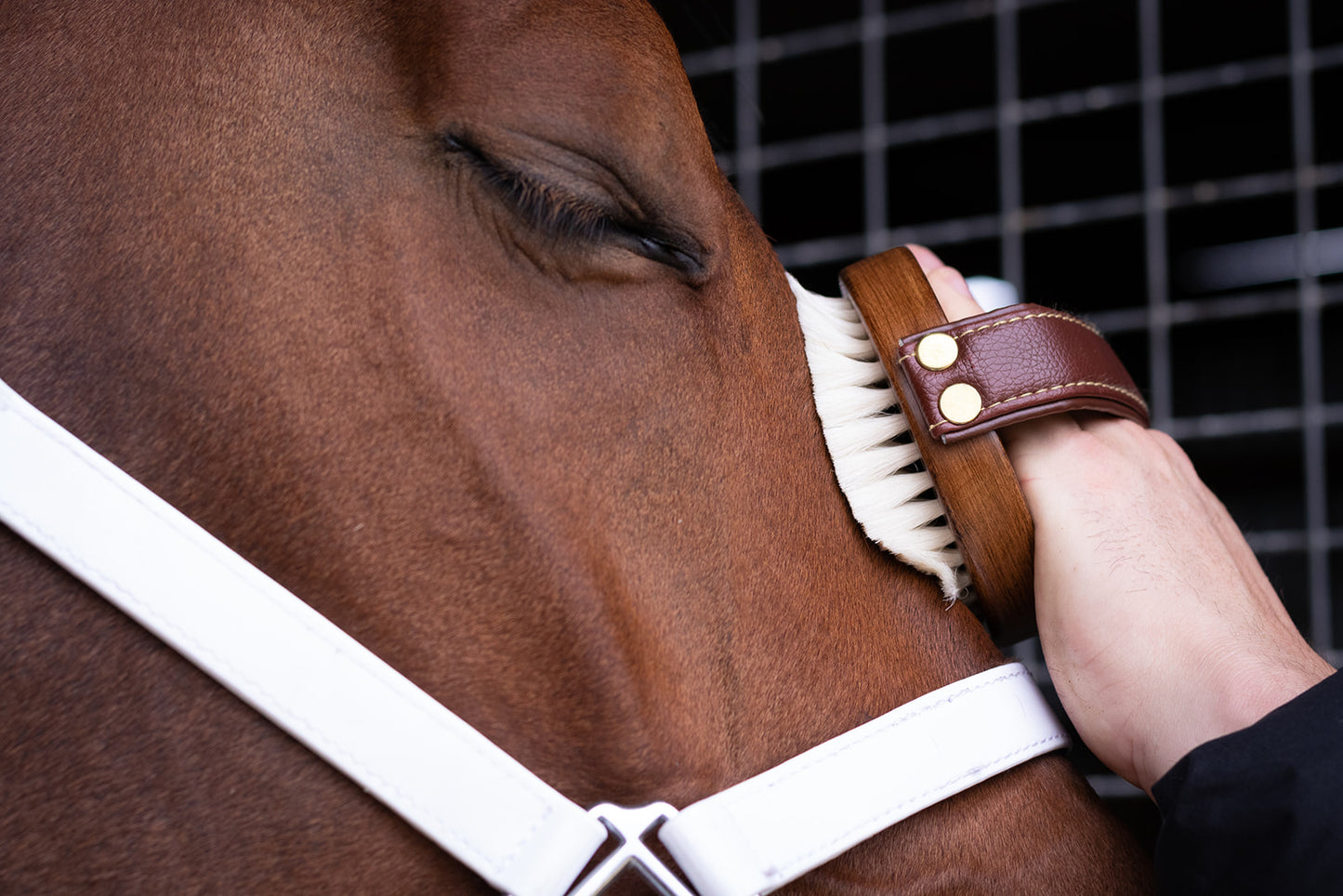 Hairy Pony Face Brush