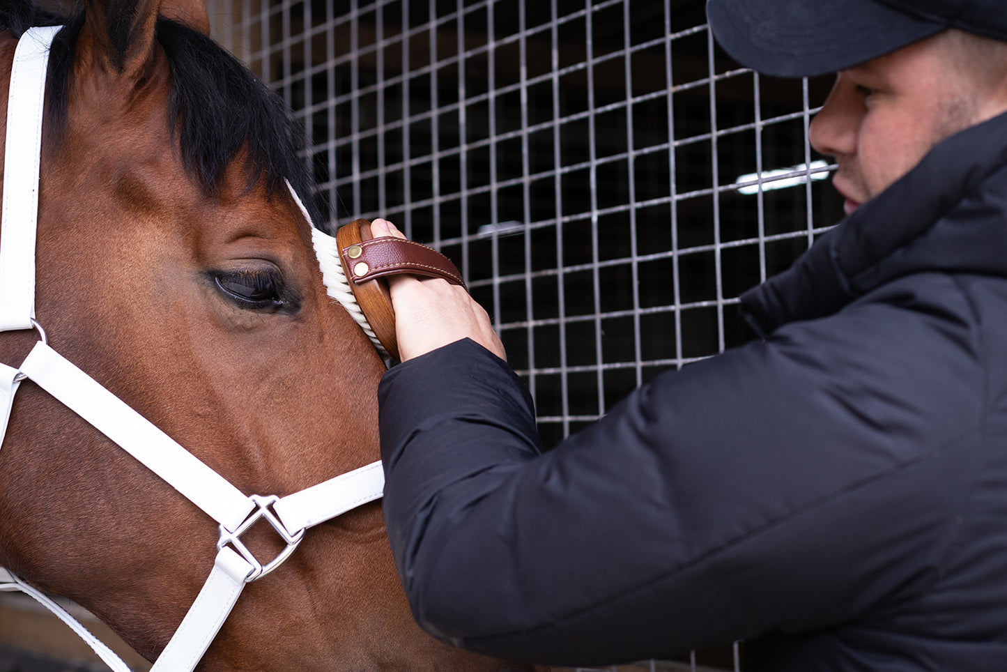 Hairy Pony Face Brush