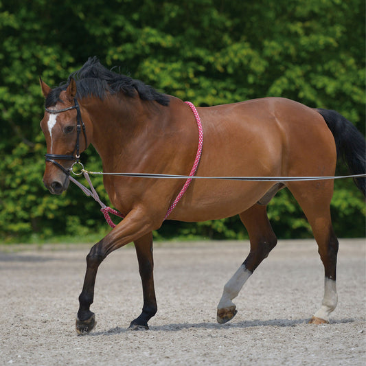 Waldhausen Lunging Aid Pony Size